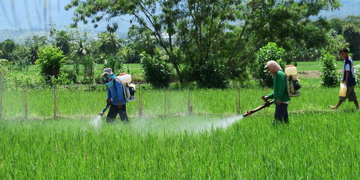 Global Garden Pesticides Market Size, Share, Analysis and Forecast 2023-2033