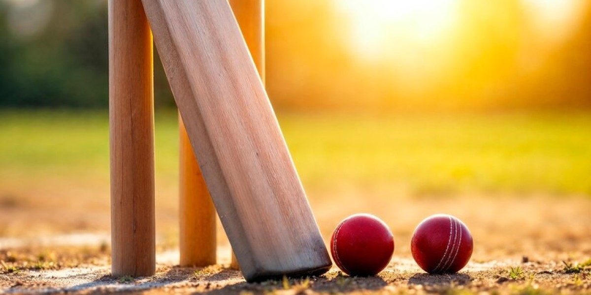 What Regions Are Leading the Global Cricket Equipment Market Growth?