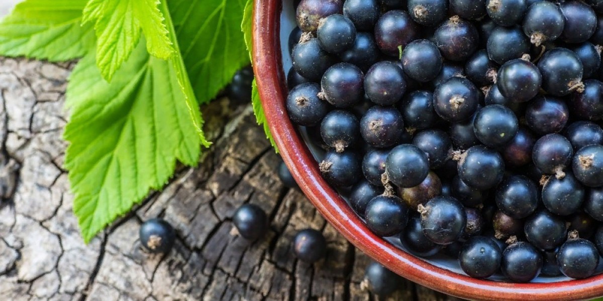 Blackcurrant Extract Market: How Rising Demand and Partnerships are Accelerating Growth