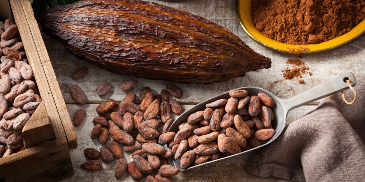 Cocoa Market Research and Intelligence on Recent Developments, Barriers, and Winning Strategies for Growth