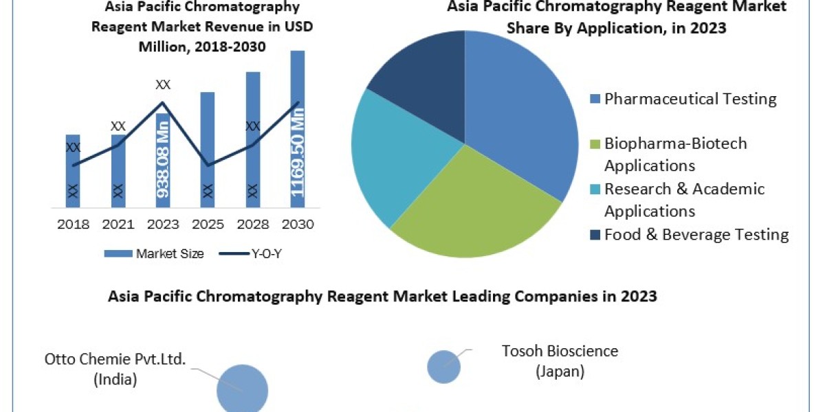 Asia Pacific Chromatography Reagent Market Size, Business Outlook, Leading Players and Forecast to 2024-2030