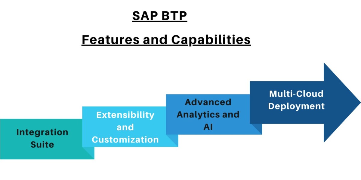 SAP BTP (Business Technology Platform)