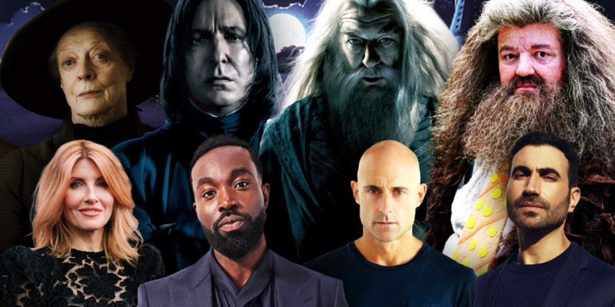 HBO's Harry Potter: New Series Details & Cast Buzz