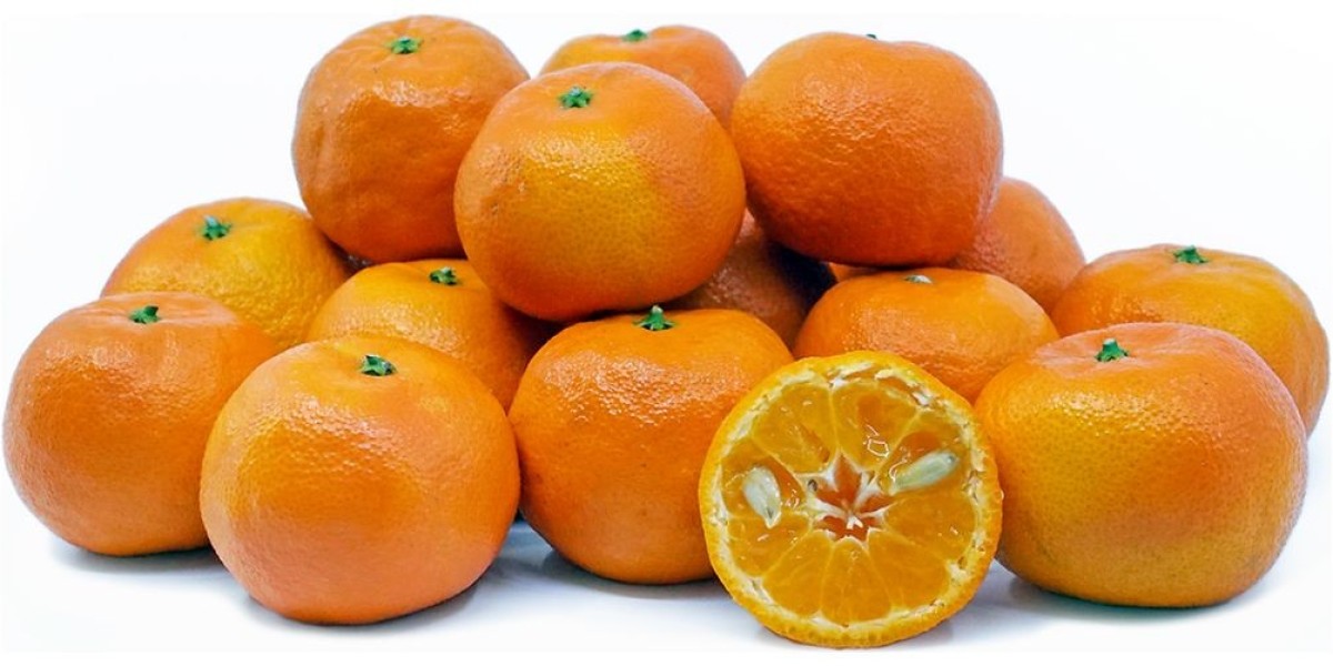 Citrus Flavour Market Challenges Barriers and Winning Strategies to Overcome Growth Pain Points