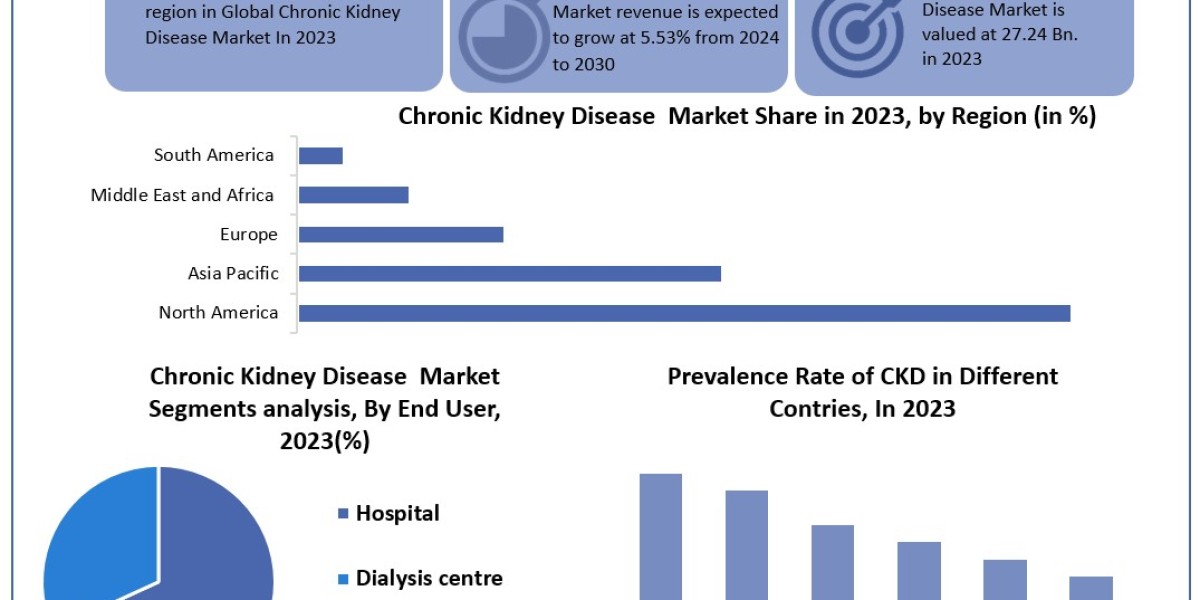 Chronic Kidney Disease Market 	Worth the Numbers: Size, Share, Revenue, and Statistics Overview | 2024-2030