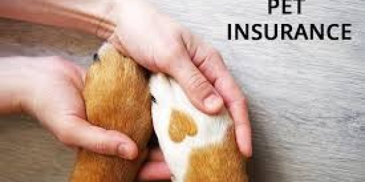 Pet Insurance Market Developments: Expansion of Coverage Options, Digital Transformation