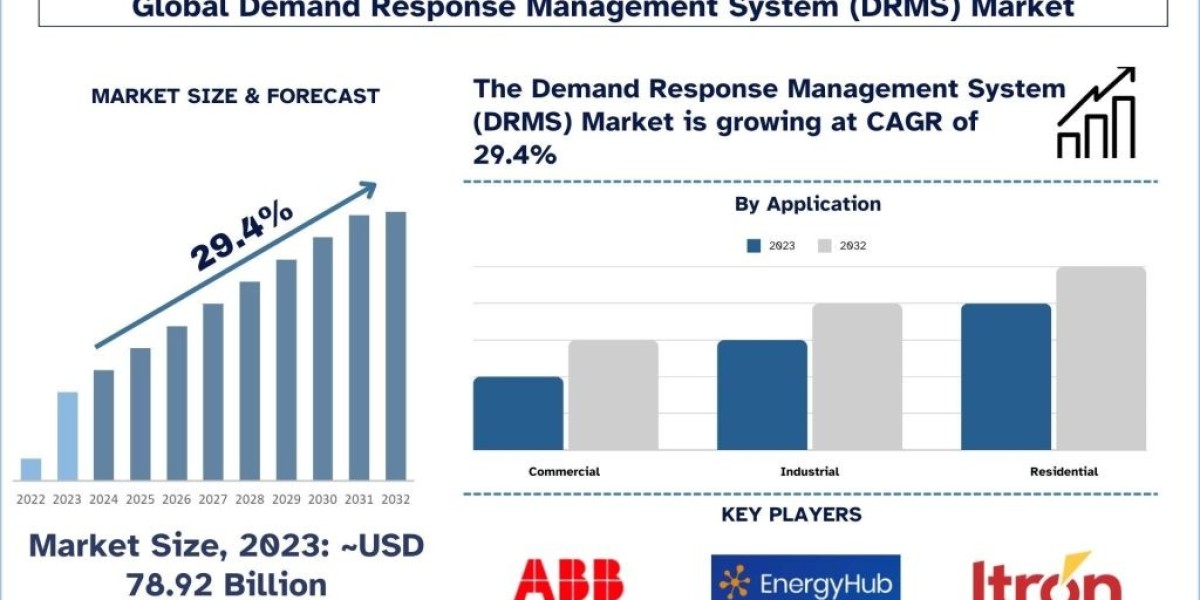 European Union's Grid Expansion Plans: A Foundation for Demand Response Management System Growth