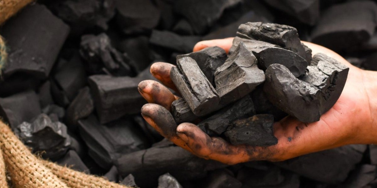 Charcoal Market: Trends, Growth Opportunities, and Future Outlook