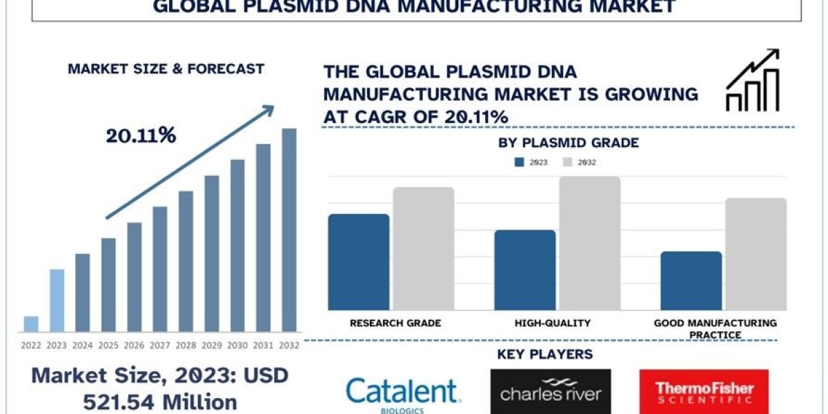 Plasmid DNA Manufacturing Market Analysis by Size, Share, Growth, Trends, Opportunities and Forecast (2024-2032)