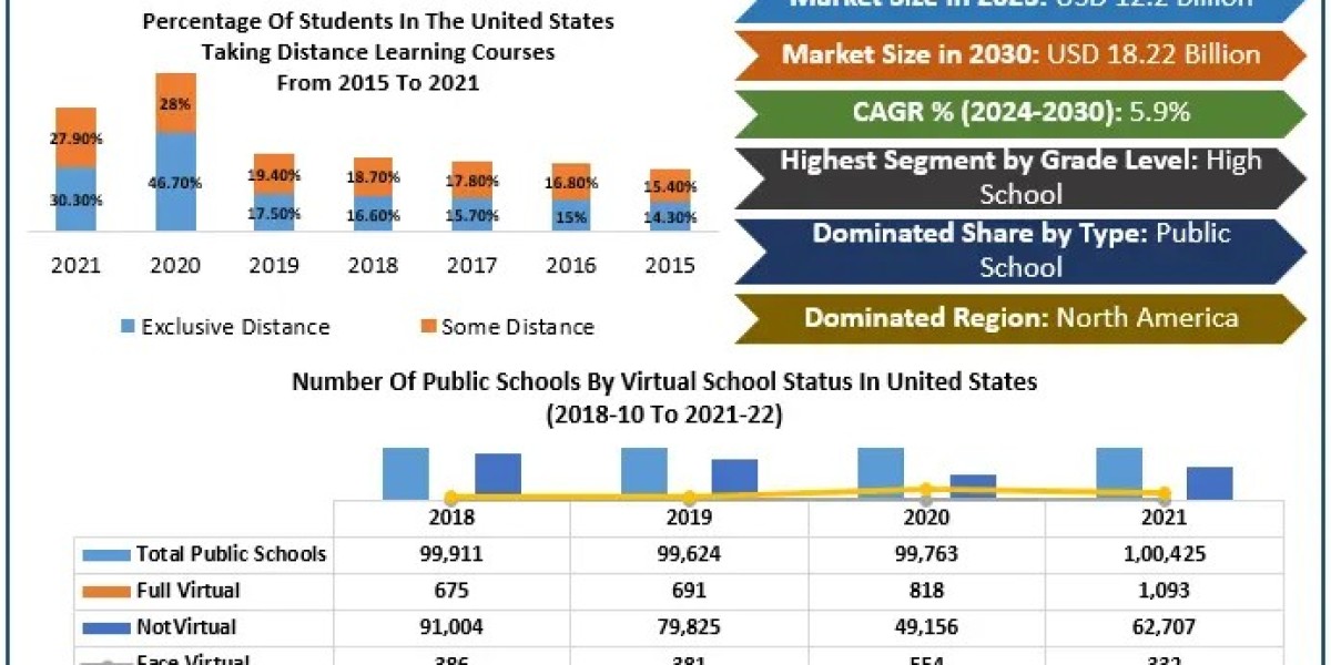 Virtual Schools Market Analysis: Key Trends and Forecast to 2030