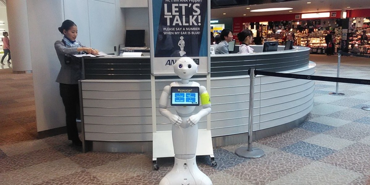 The Airport Robots Market: Revolutionizing Air Travel with Automation