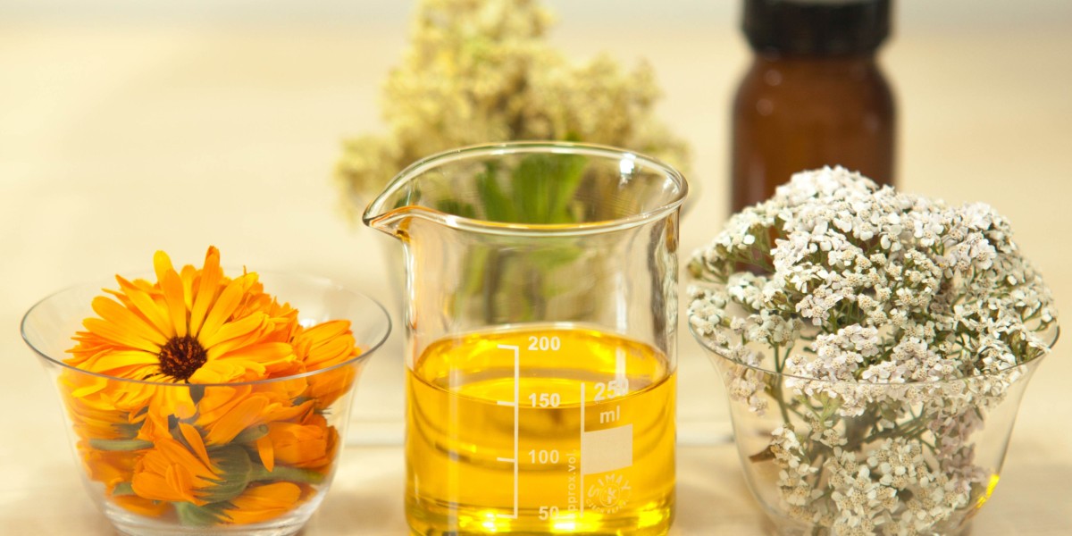 The Wonders of Marigold Essential Oil: A Common Arrangement for Health & Beauty