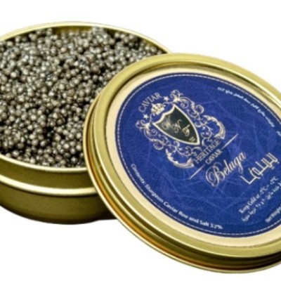 Caviar Persian Beluga Huso Huso Profile Picture