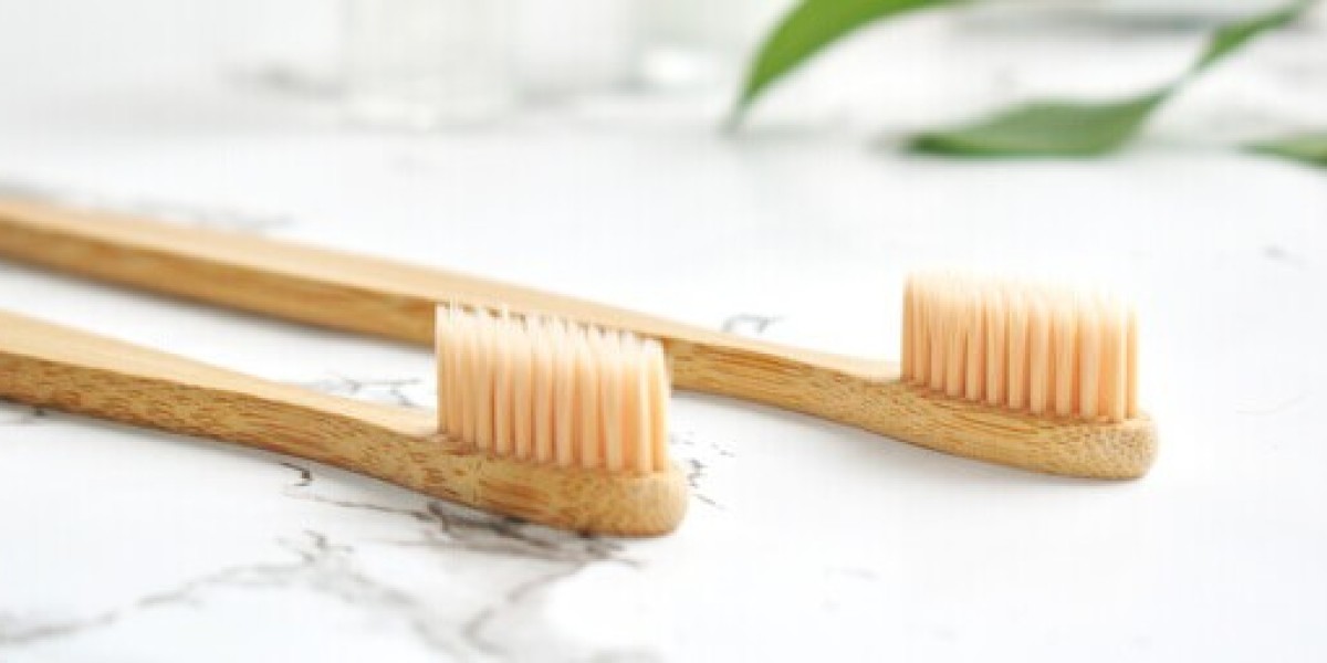 Bamboo Toothbrush Market Driving Eco-Friendly Consumer Shifts