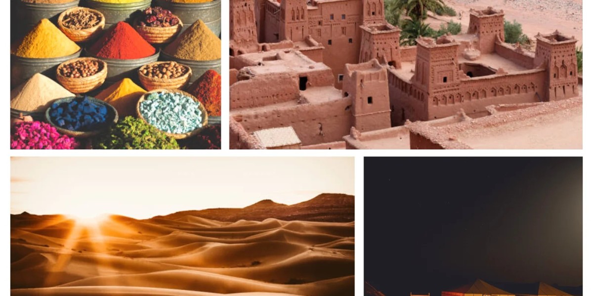 Morocco Geology and Fossil Tours: Dig into History with Desert Discovery Tours