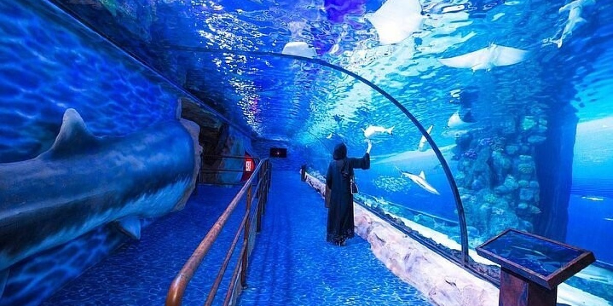 Dubai Aquarium and Underwater Zoo: An Unforgettable Marine Adventure