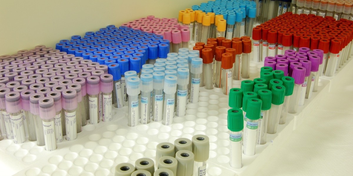 Blood Collection Tubes For Liquid Biopsy Market Analysis, Size, Share, Growth, Trends, and Forecasts by 2031