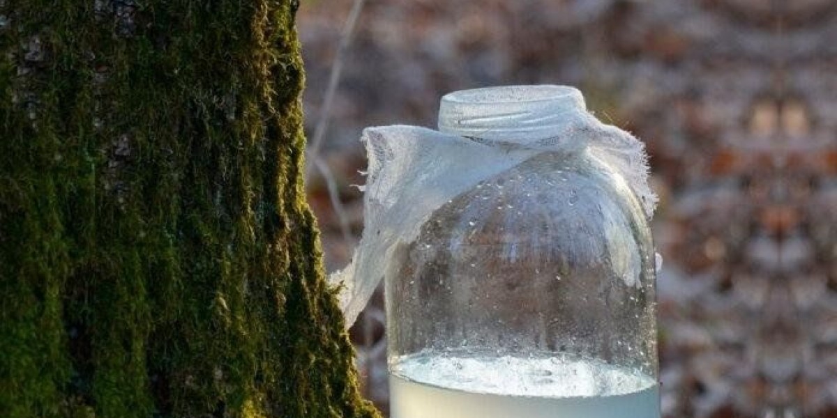 Birch Water Market Restraints Impacting Expansion and Consumer Adoption