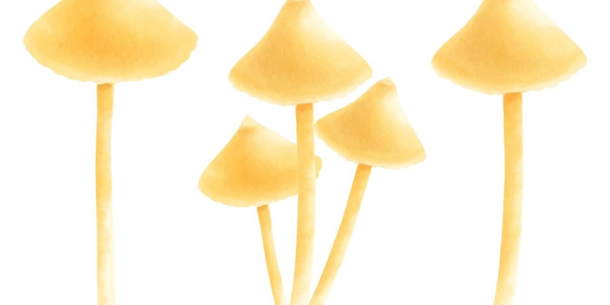 Exploring the Growing Yellow Oyster Mushroom Market: Trends, Opportunities, and Insights