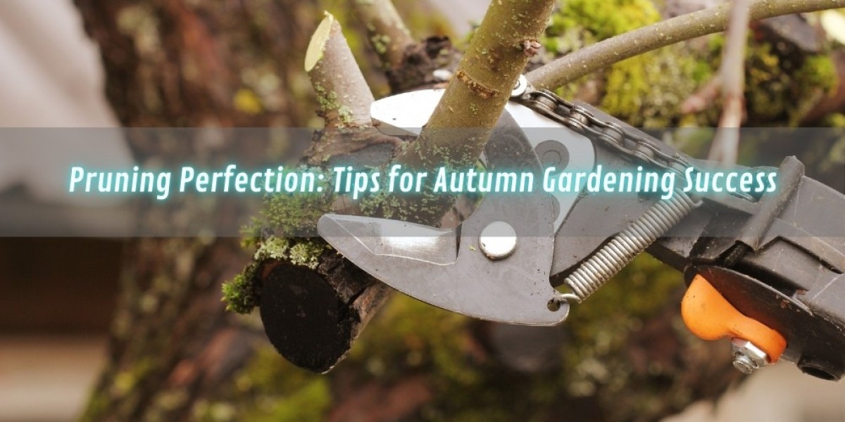 Pruning Perfection: Tips for Autumn Gardening Success