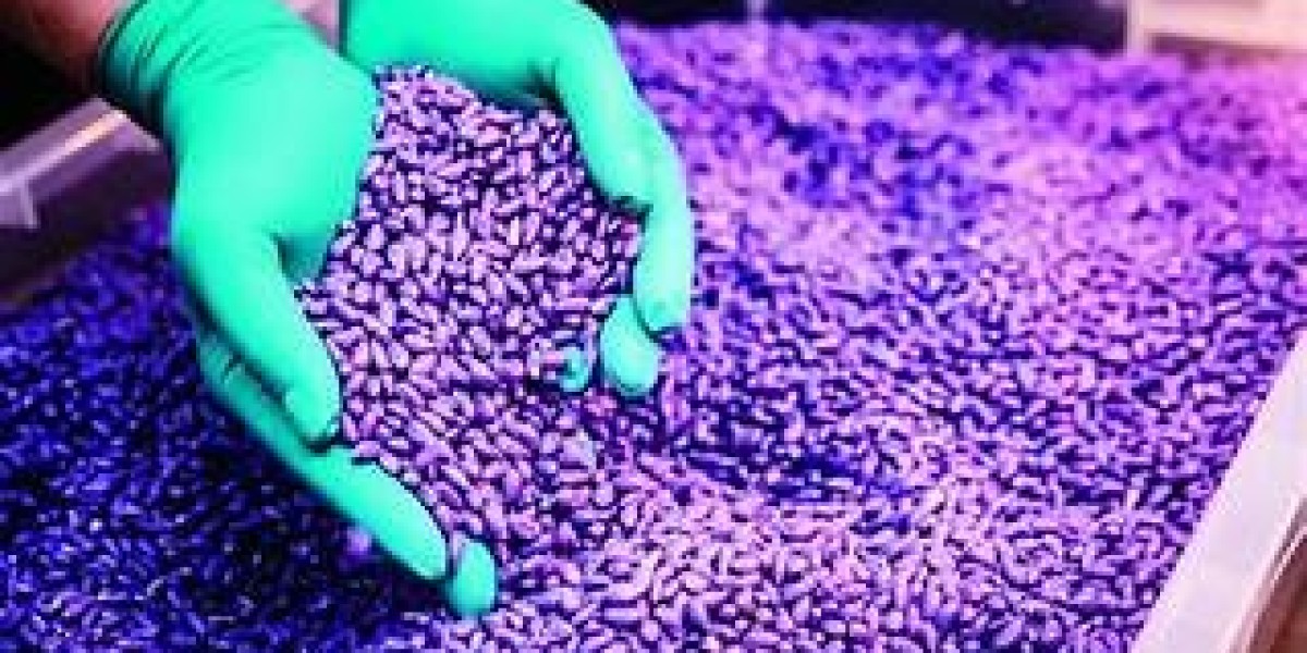 The Growing Importance of Seed Treatment Materials in Modern Agriculture: A Comprehensive Market Analysis