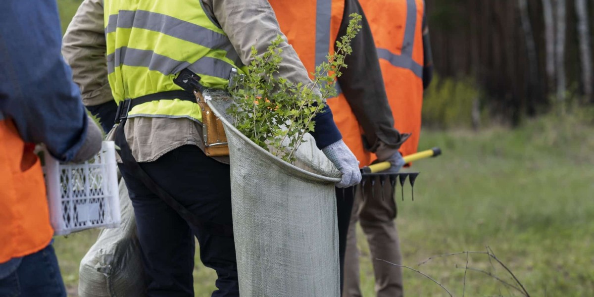 Affordable Tree Service Houston: Your Go-To for Cost-Effective Tree Removal