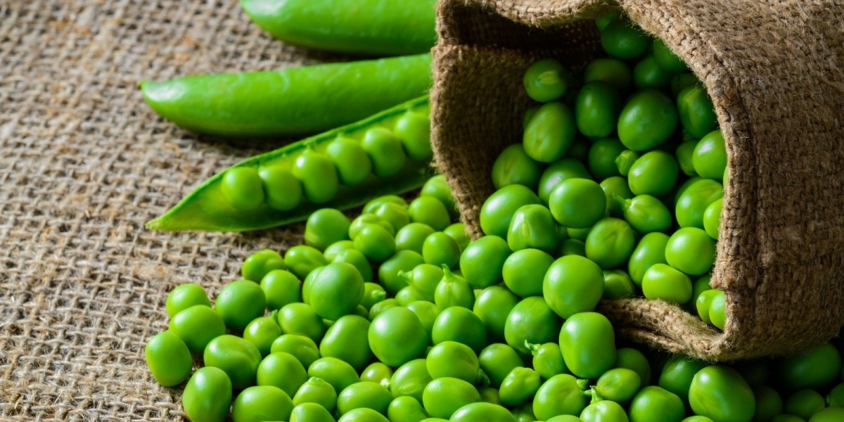 Report on Peas Processing Plant 2025: Setup Details, Capital Investments and Profit Projections