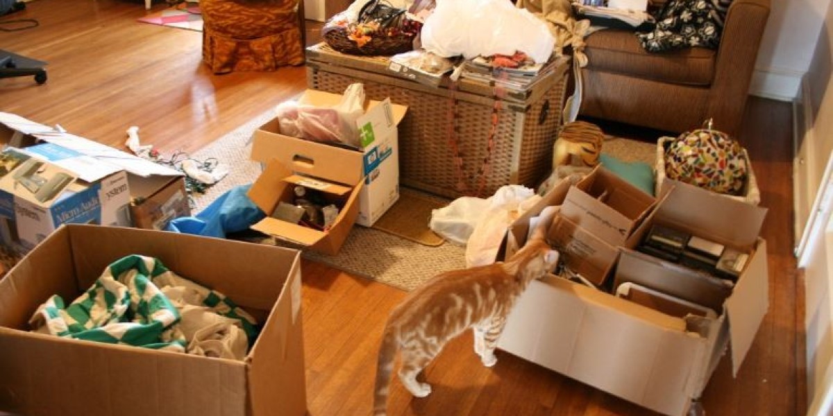 Find the Best Organizer Near Me San Diego for a Clutter-Free Life