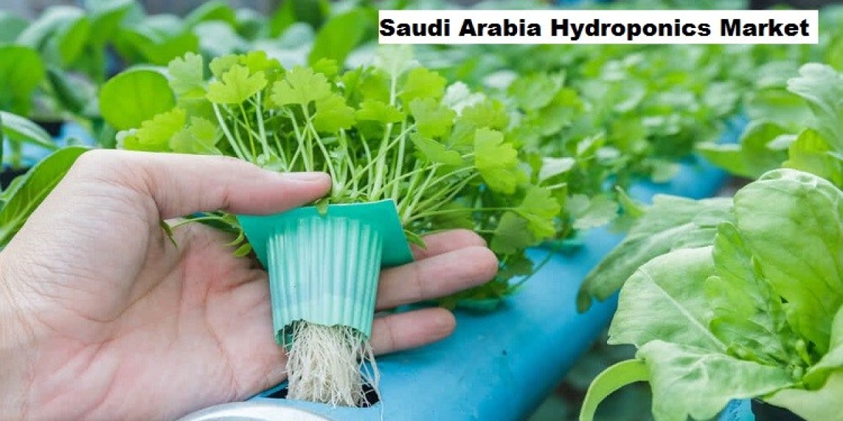 Saudi Arabia Hydroponics Market: Innovation in Controlled Agriculture