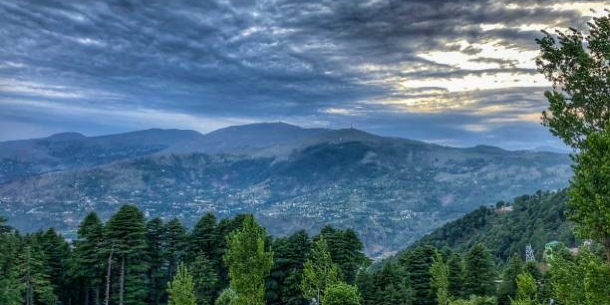 Katra to Patnitop Taxi Fare