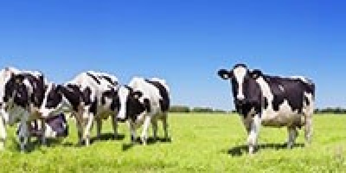 Cattle Tracking System Market: Growth, Trends, and Future Opportunities