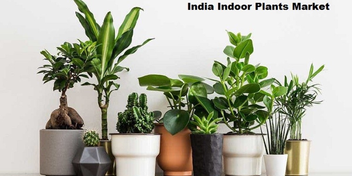 India Indoor Plants Market: Growing Awareness and Urbanization Fuel Demand