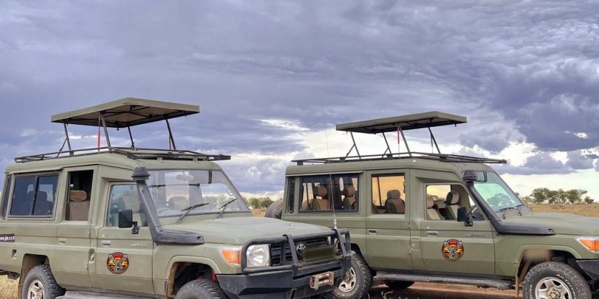 Best Tour Companies in Tanzania: How to Choose the Right One for You