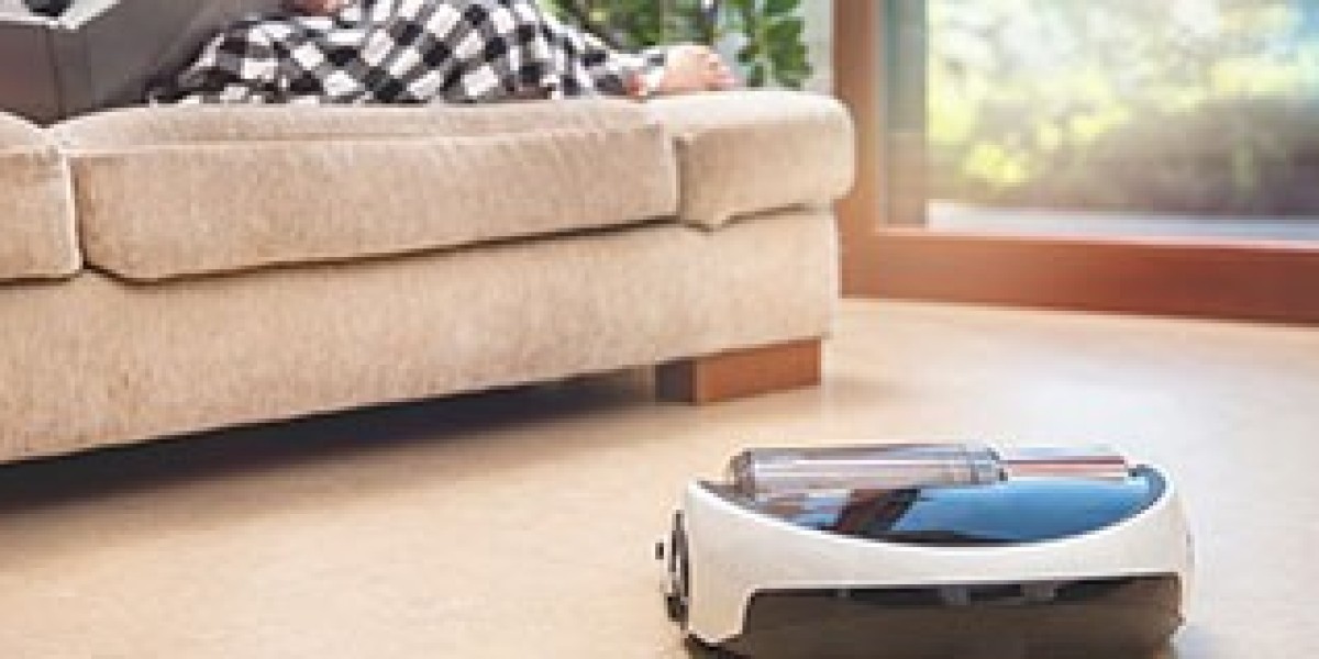 Domestic Robots Market: Growth, Trends, and Future Outlook