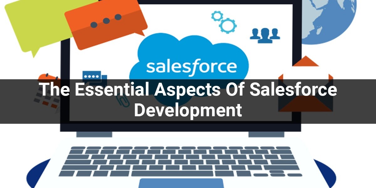 The Essential Aspects Of Salesforce Development