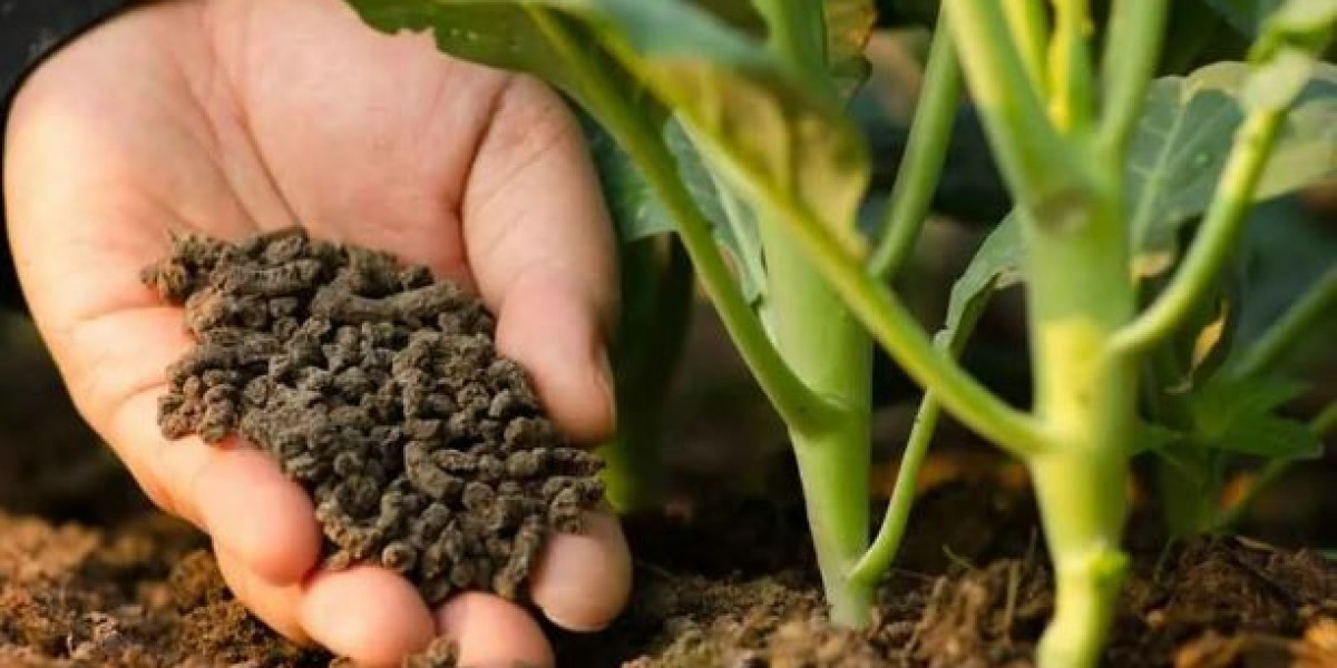 The Growing Demand for Organic Fertilizers Market: A Market Overview