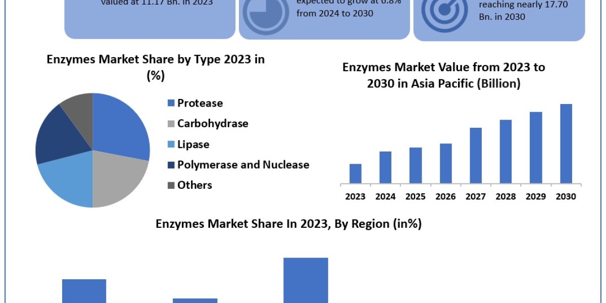 Enzymes Market 	Size, Opportunities, Company Profile, Developments and Outlook 2030