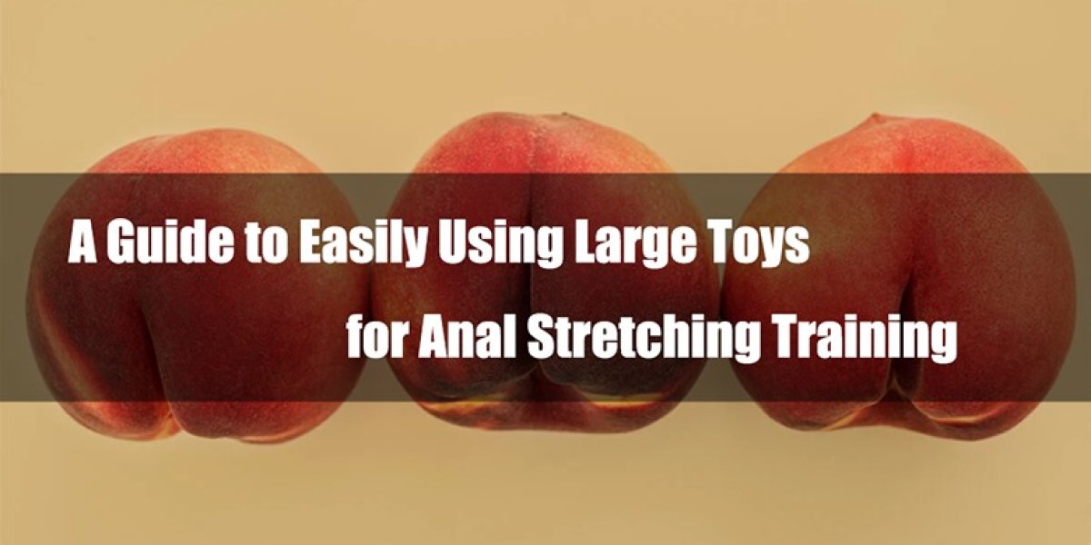 A Guide to Easily Using Large Toys for Anal Stretching Training