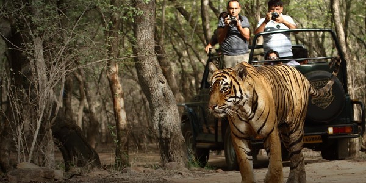 Delhi to Ranthambore Cab