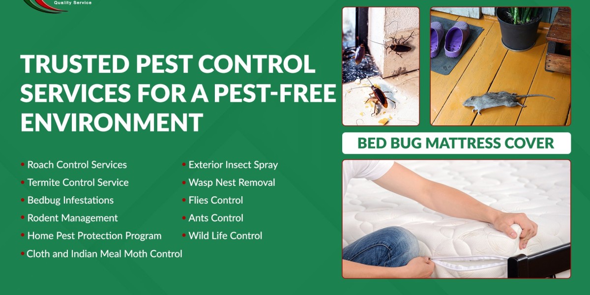 Roach Control Toronto: Effective Cockroach Extermination Solutions