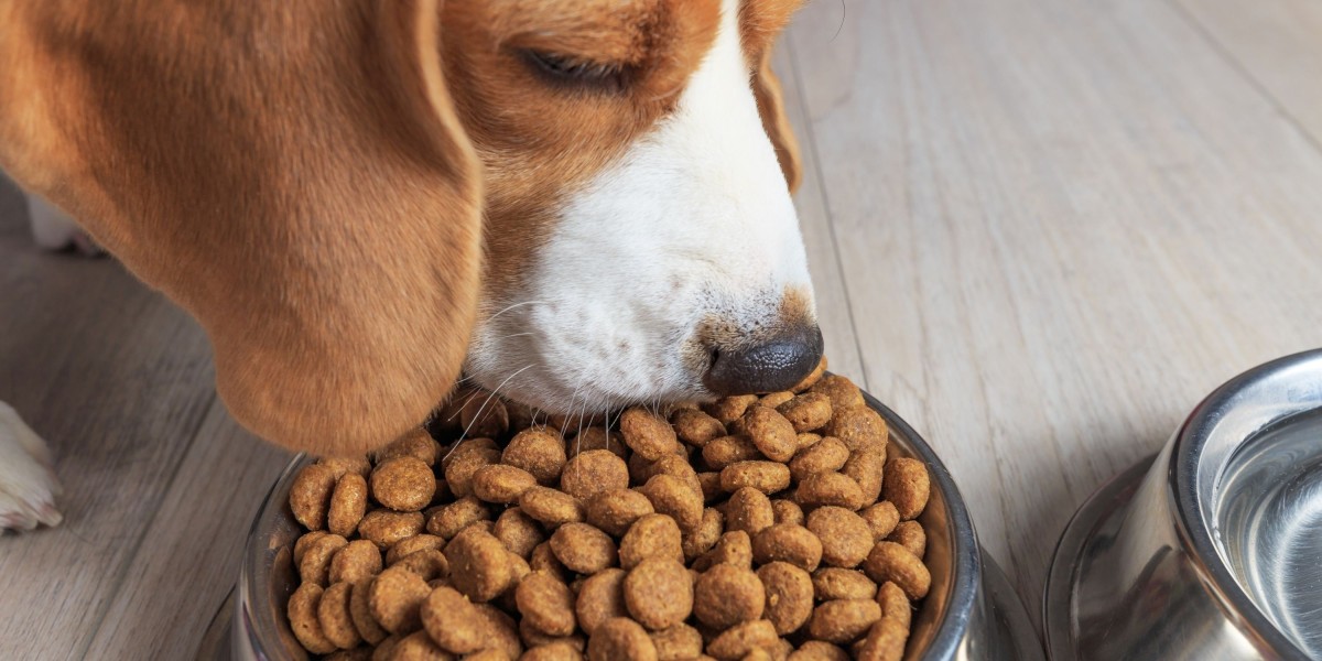 Pet Food Market Outlook 2025: Key Trends and Dynamics Shaping the Industry