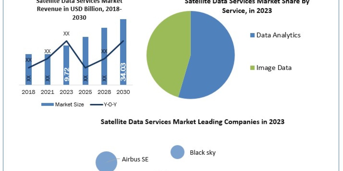 Satellite Data Services Market Growth   Global Share, Segmentation, Analysis, Future Plans and Forecast 2029