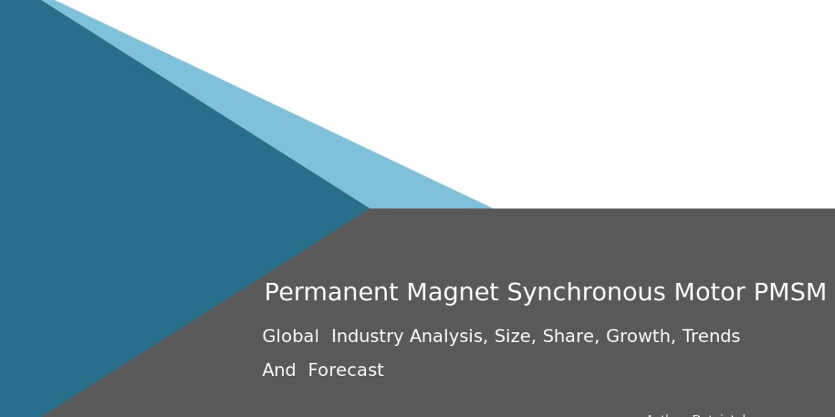 Permanent Magnet Synchronous Motor Market Projections & Industry Evolution 2032