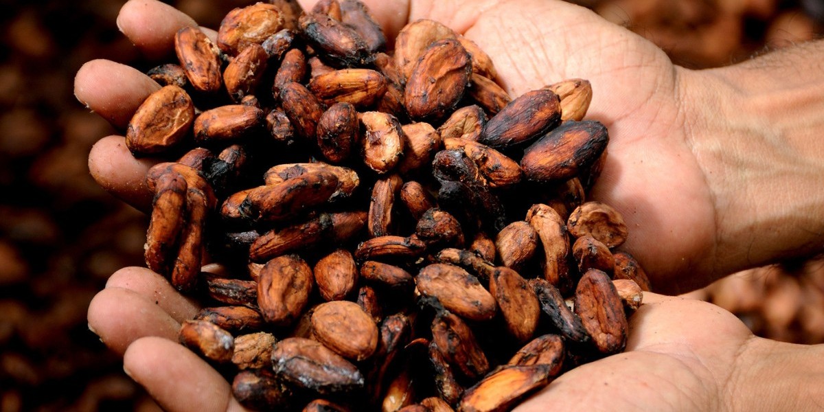 El Crecimiento del Mercado de Cacao en Colombia: Análisis y Perspectivas para 2025-2034