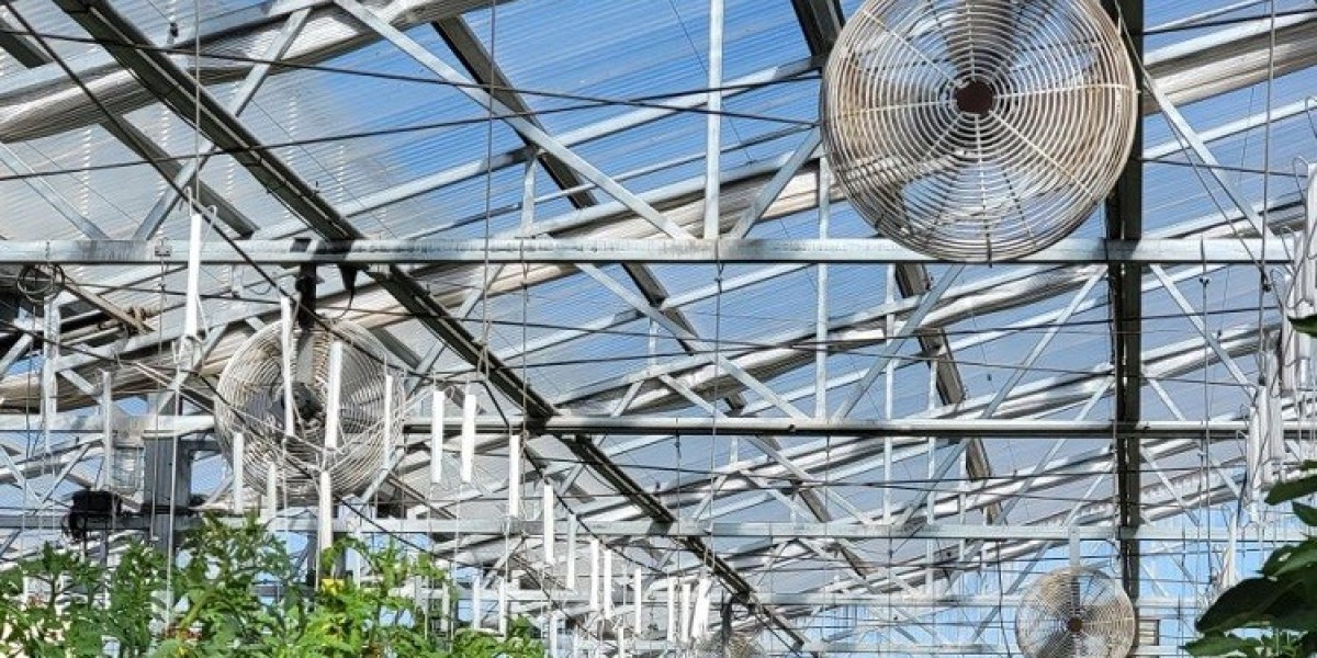 United States Smart Greenhouse Market Trends Driven by CEA and Sensors