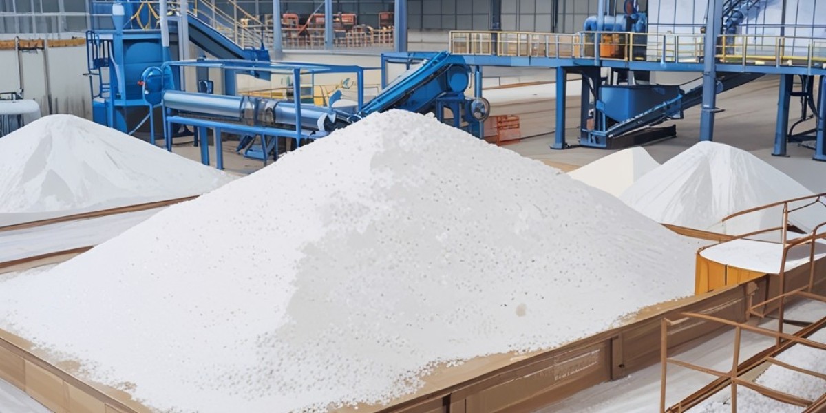 Table Salt Manufacturing Plant Project Report 2025: Industry Trends and Raw Materials