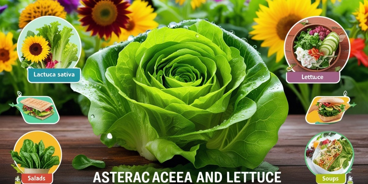 Lettuce Seeds Market Analysis: What You Need to Know