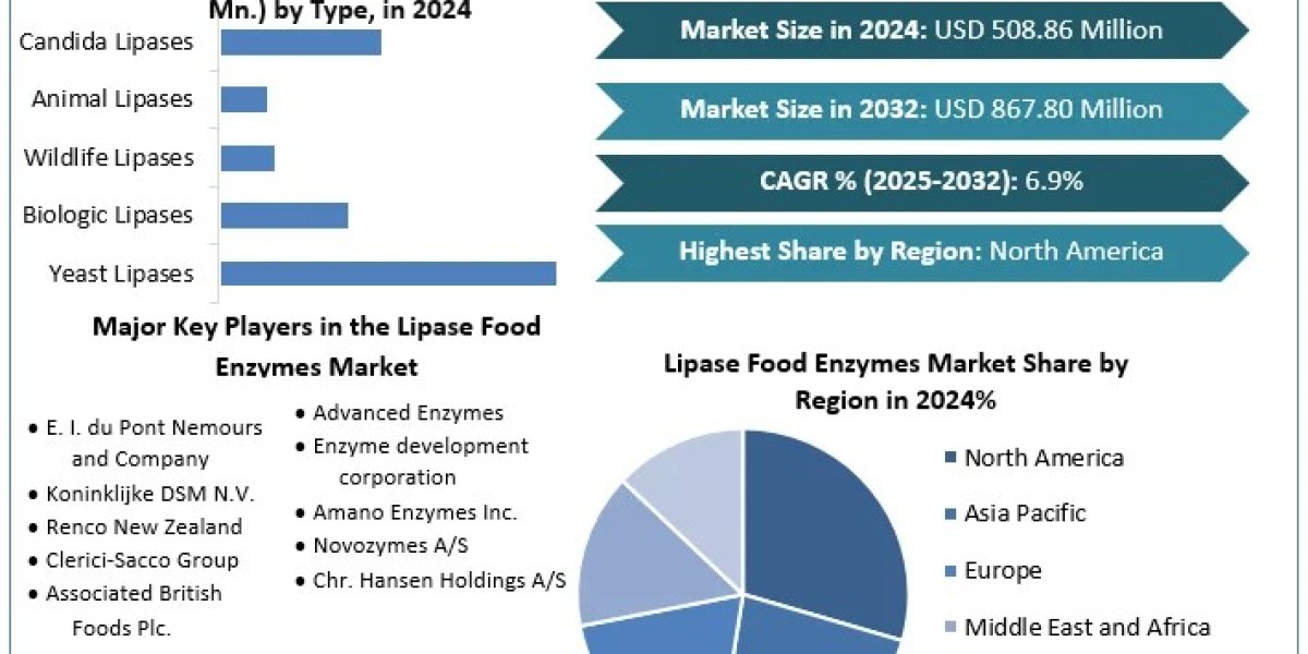 Lipase Food Enzymes Market - Size, Share & Analysis Report Forecast and Outlook for the Period 2025-2032