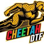 CheetahDTF