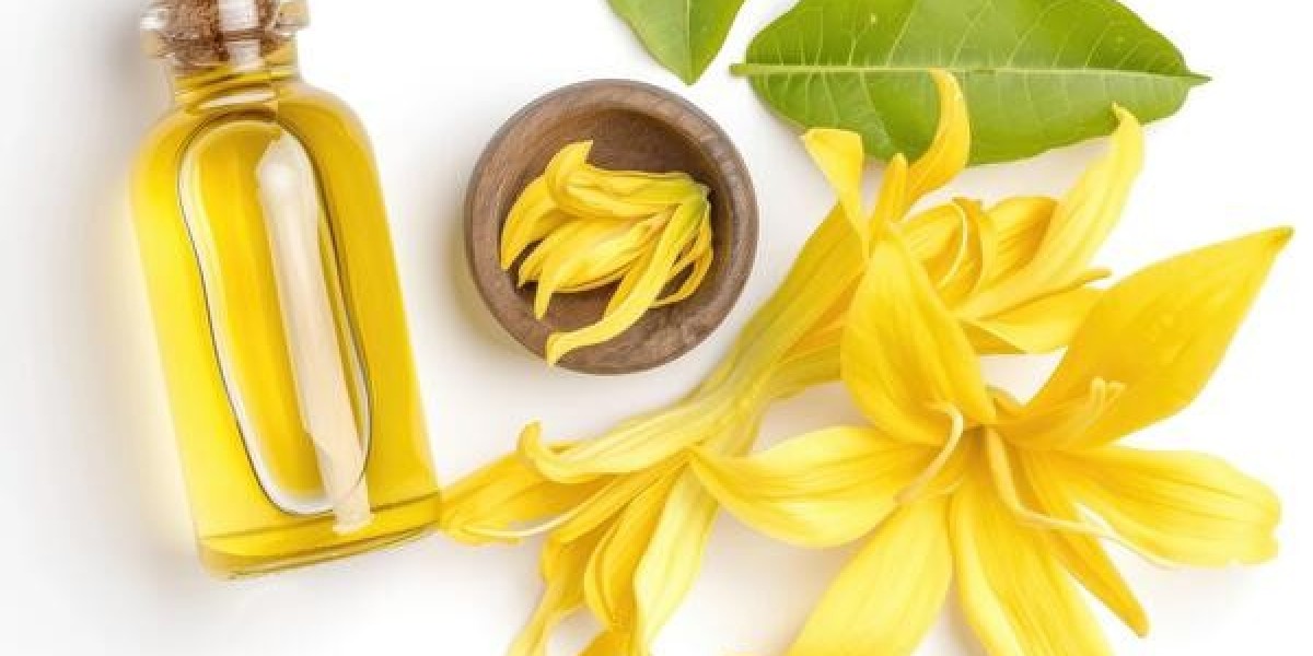 Key Steps for Setting Up a Ylang - Ylang Oil Processing Plant: In-Depth Project Overview